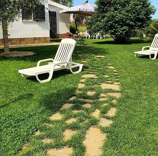 Leone 2 بيستيشي