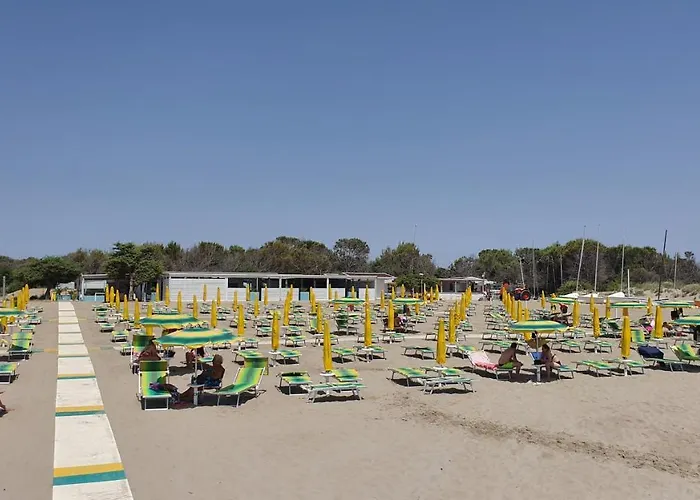 Leone 2 * بيستيشي