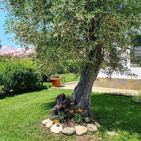 Leone 2 Apartment Pisticci