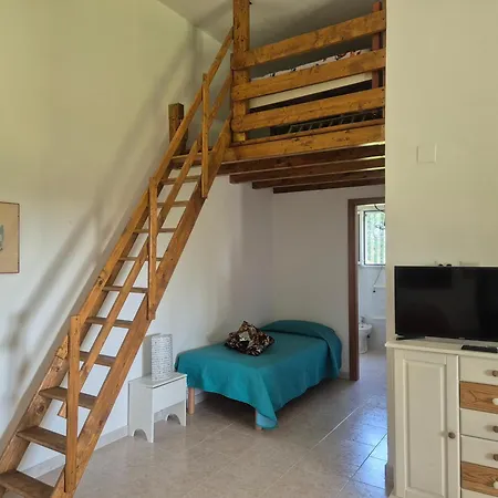 Leone 2 Apartment *